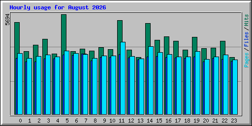 Hourly usage for August 2026